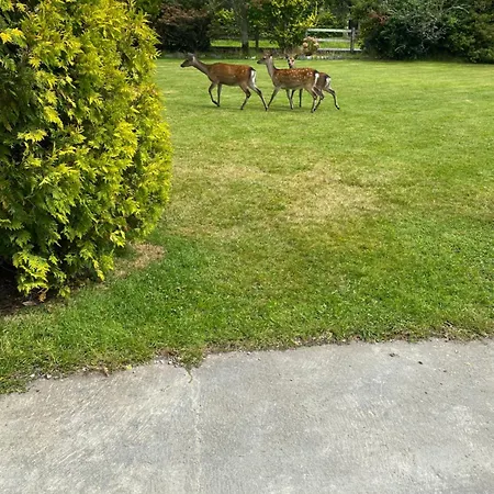 The Orchid Laune Bridge